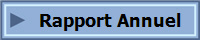 Rapport Annuel